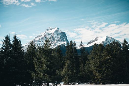 Stunning view of snow-capped Rocky Mountains surrounded by lush forest in Jasper, Alberta.