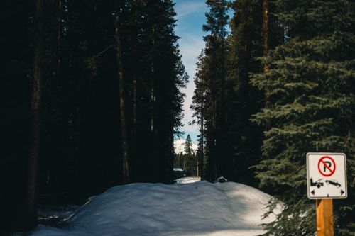 Free Snowy forest path in Jasper, Alberta, framed by tall trees and a caution sign. Stock Photo