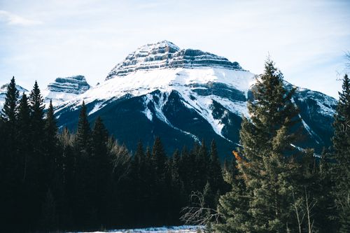Free Snow-covered mountain peaks and dense forest in Jasper National Park, Alberta, Canada. Stock Photo