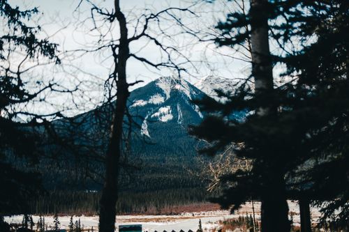 Free Serene mountain view in Jasper, Alberta framed by trees. Stock Photo