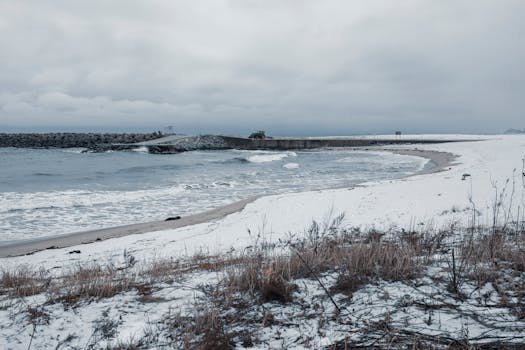 Scenic snowy beach with ocean waves and overcast sky.