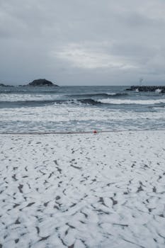 A winter scene of a snowy beach meeting the sea under a cloudy sky, featuring gentle waves.