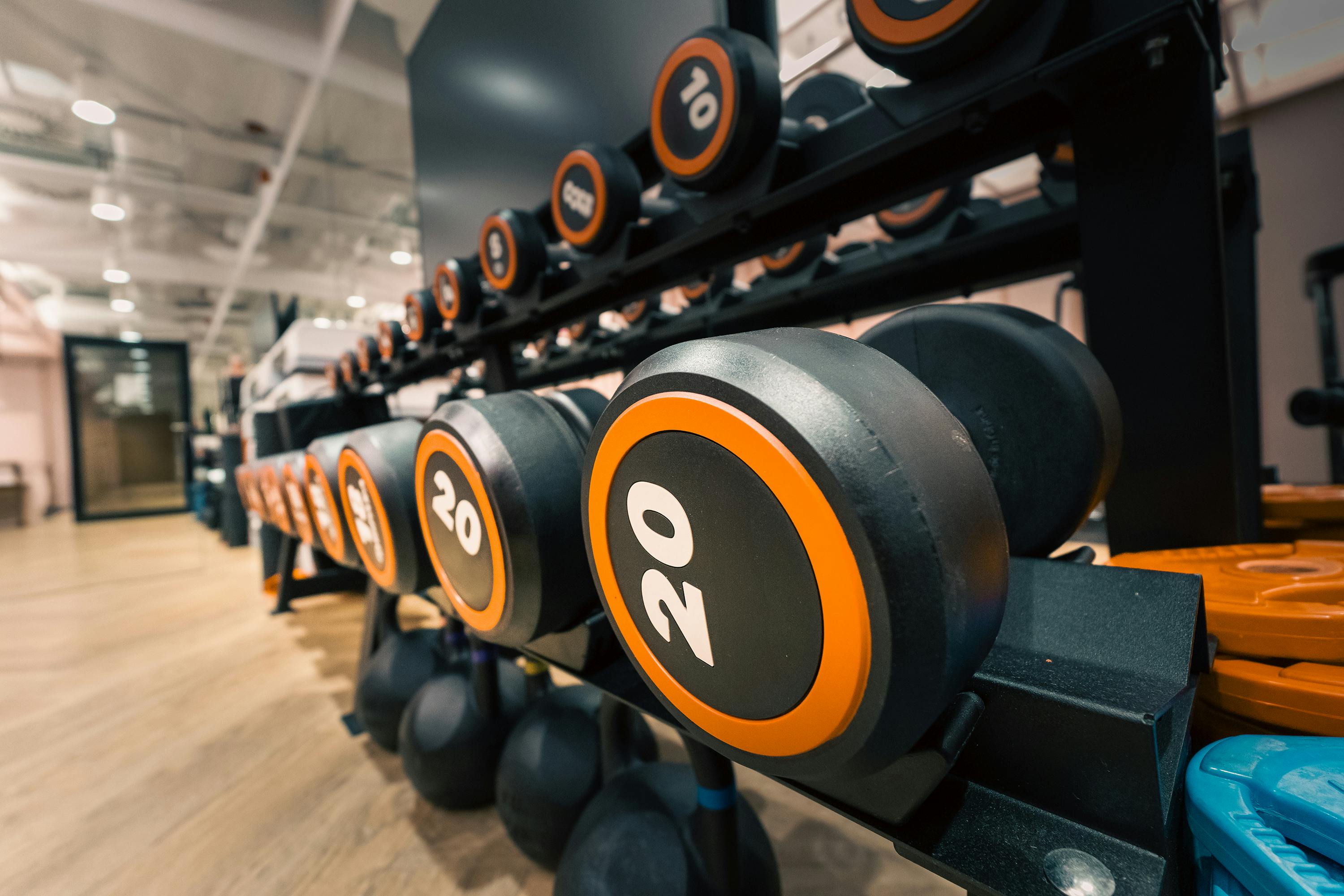 Gratuit Une rangée d'haltères lourds dans un environnement de salle de sport contemporain, parfait pour la musculation. Photos