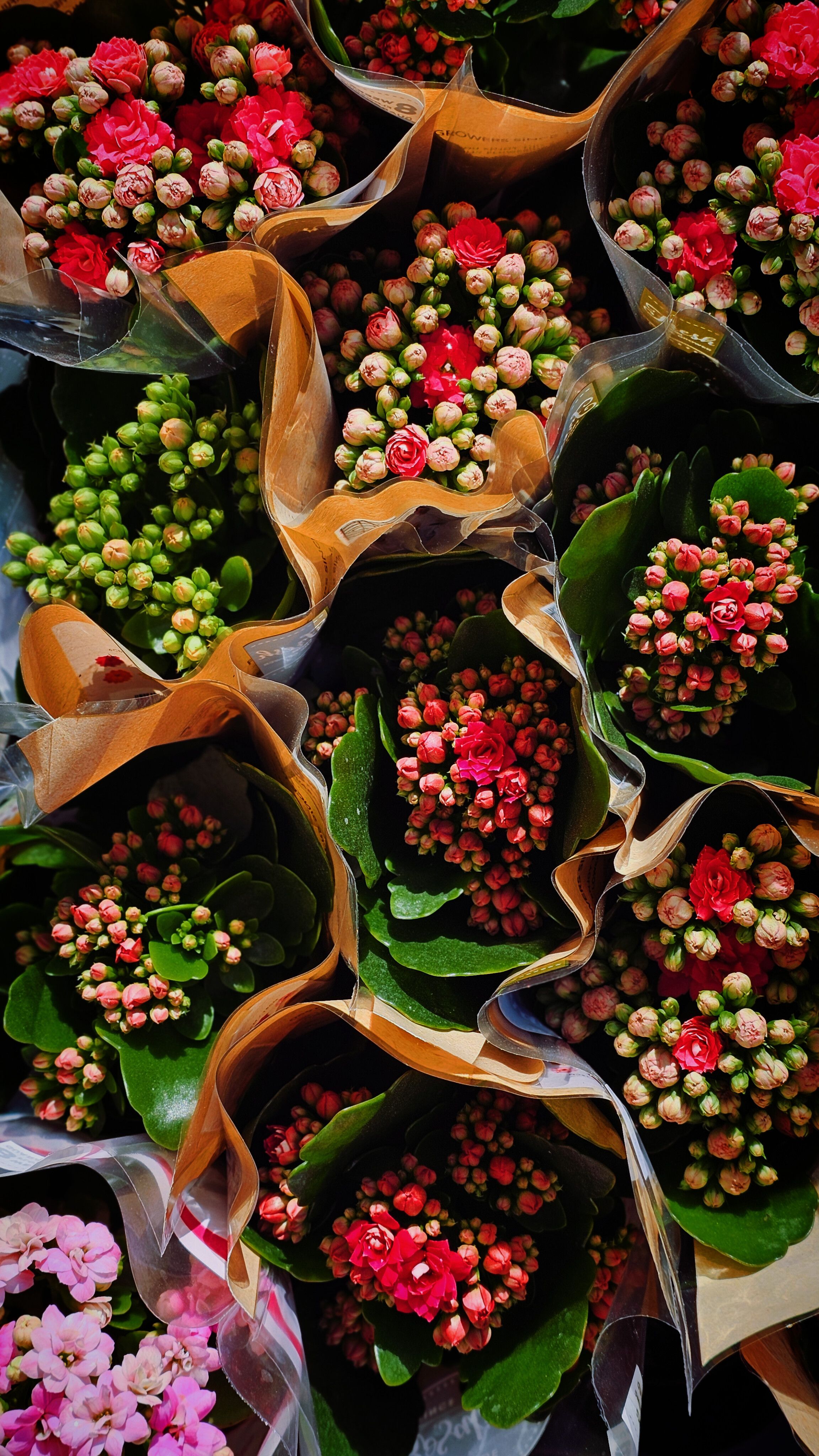 [ColoSach]-vibrant-floral-bouquets-with-various-blossoms-wrapped-in-brown-paper.