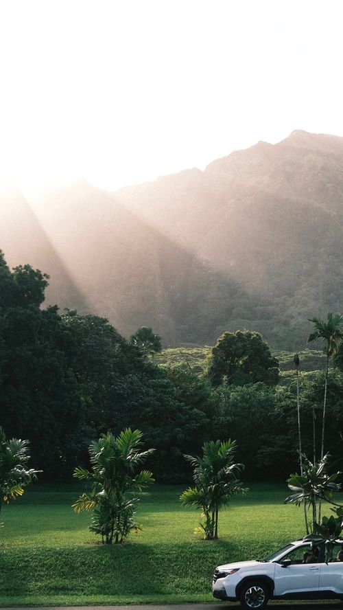 Free A white car on a grassy field with tropical trees and mountain backdrop. Stock Photo