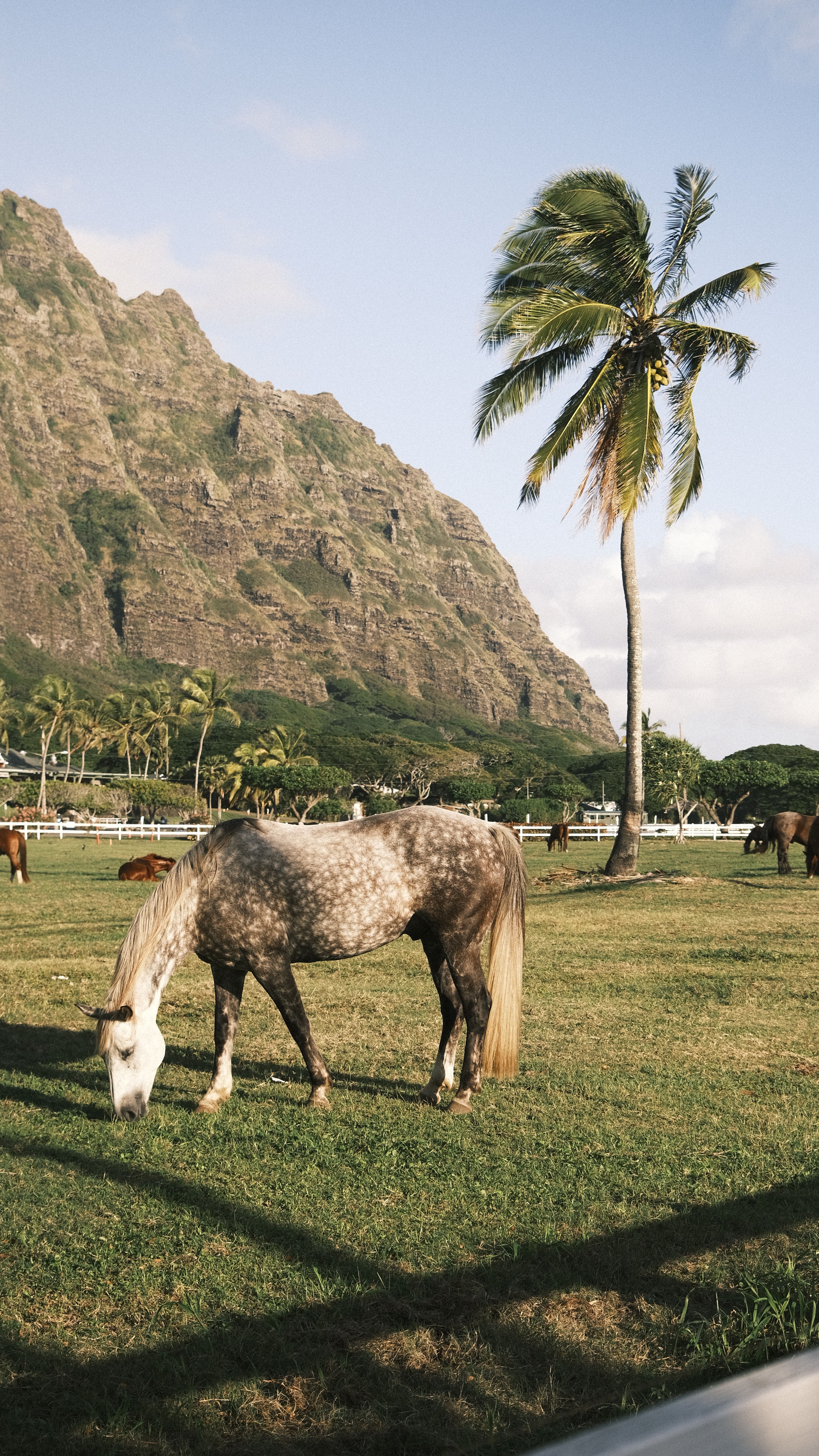 things to do in kaneohe