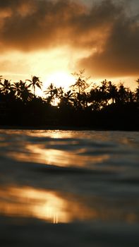 Stunning tropical sunset with palm silhouettes reflected on ocean waves, creating a serene scene.