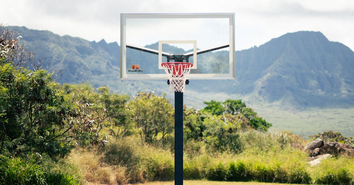 Outdoor basketball court with stunning mountain backdrop on a sunny day.