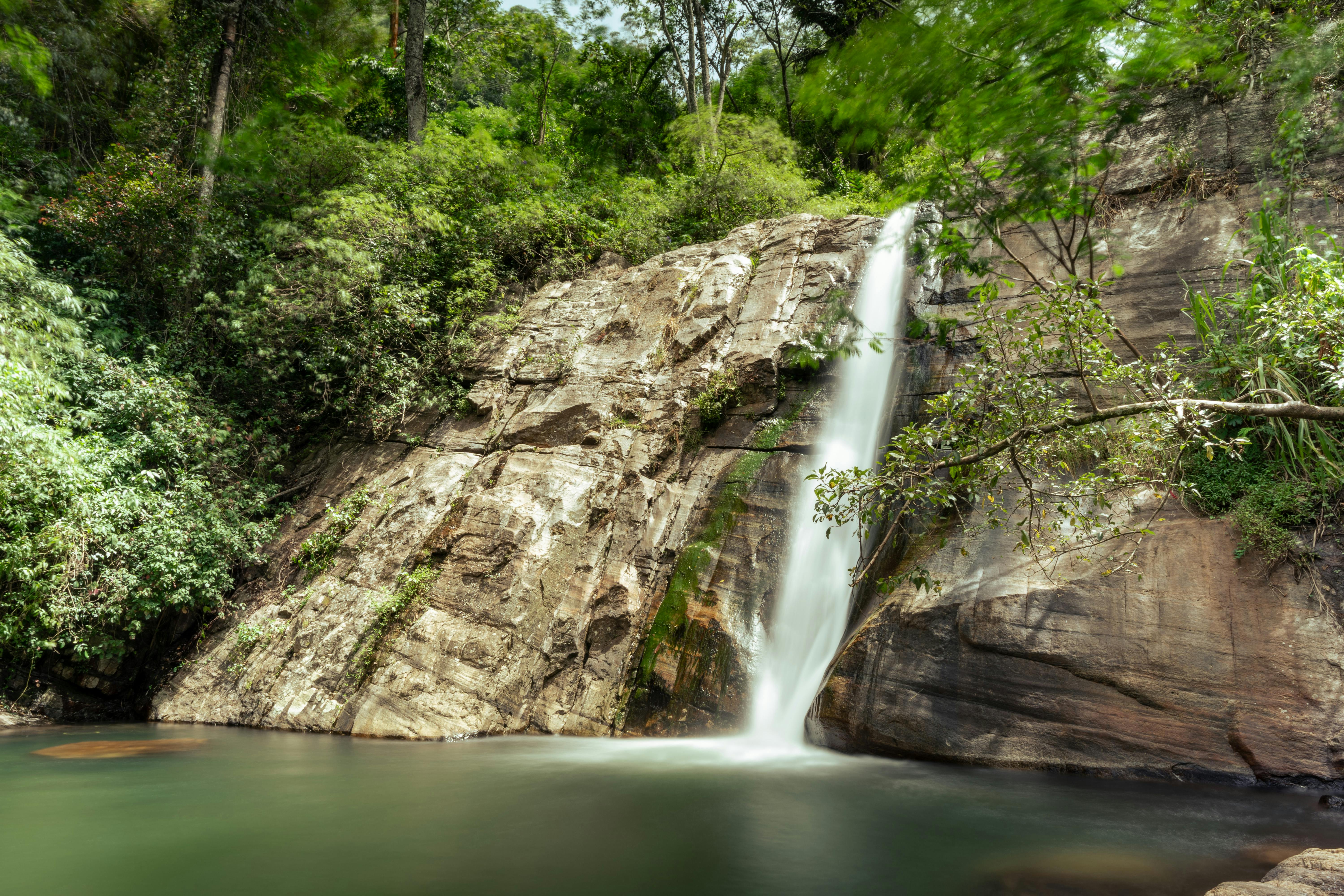 Pexels Photo 31018816