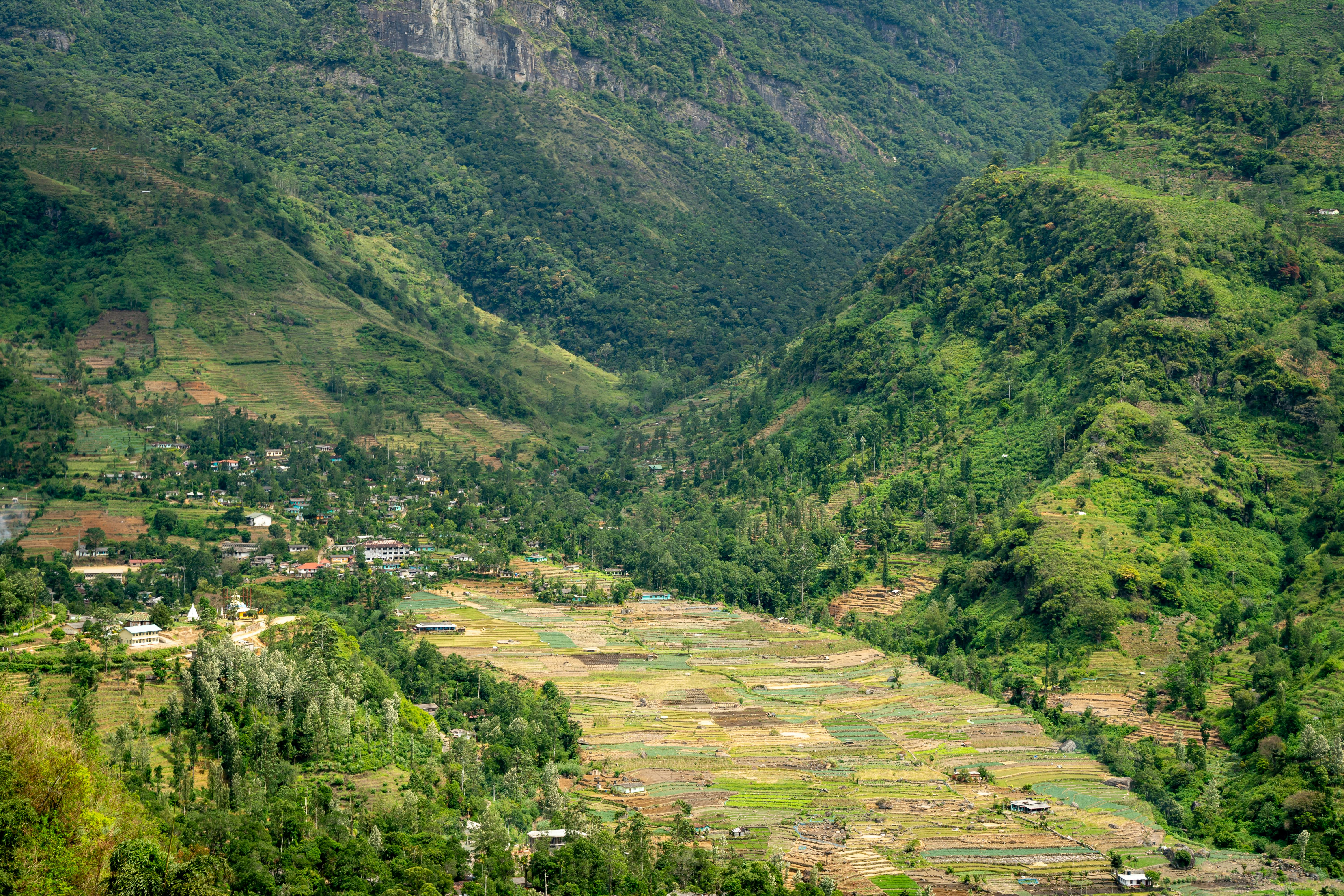 Darjeeling