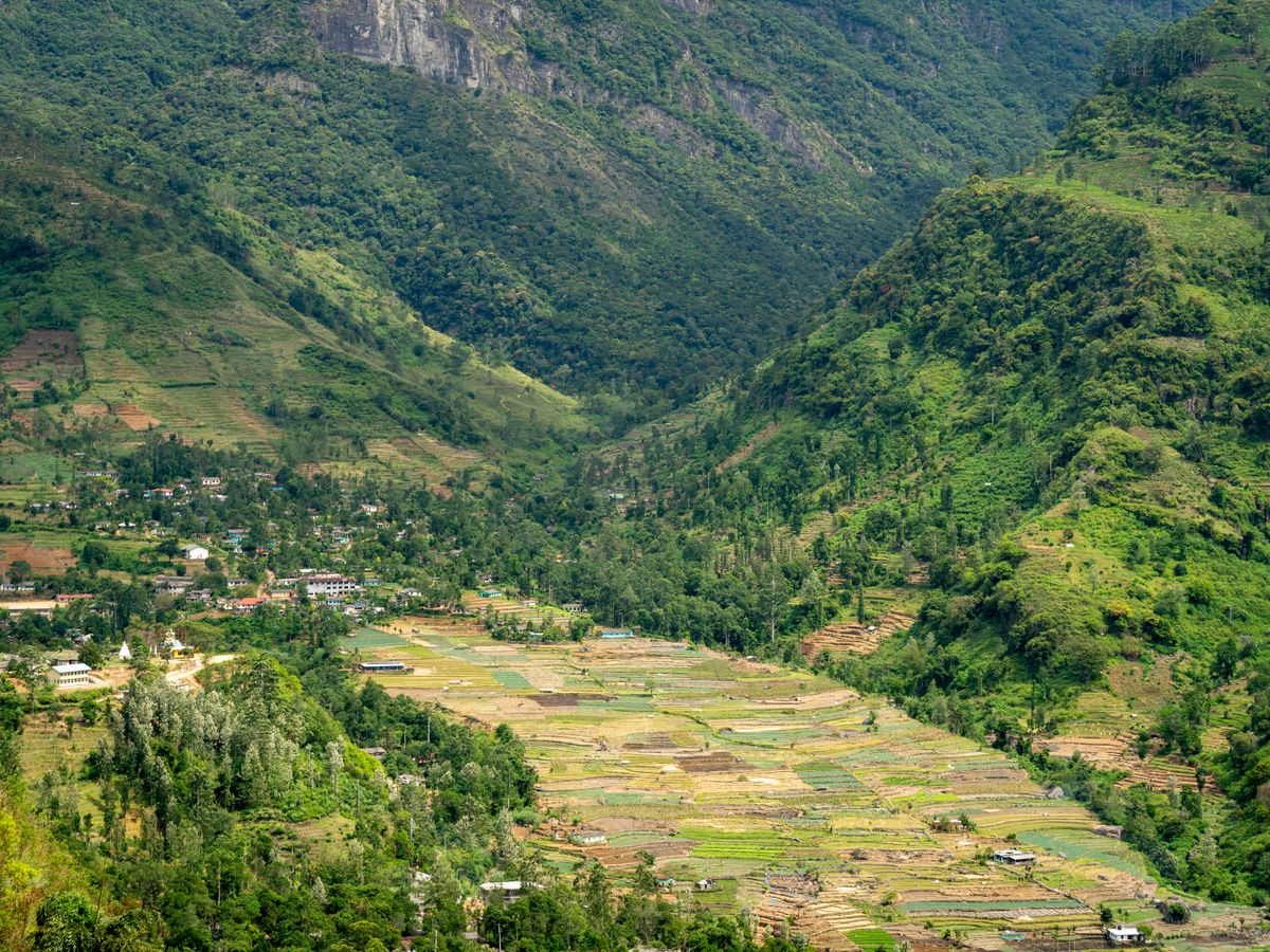 3 Day Yoga, Paddleboarding, Massage & Hiking Retreat in Sri Lanka 2