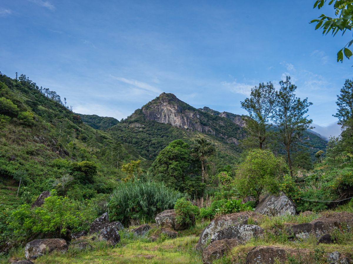 4 Day Hiking, Cooking & Tree Planting & Yoga Holiday in Sri Lanka 3
