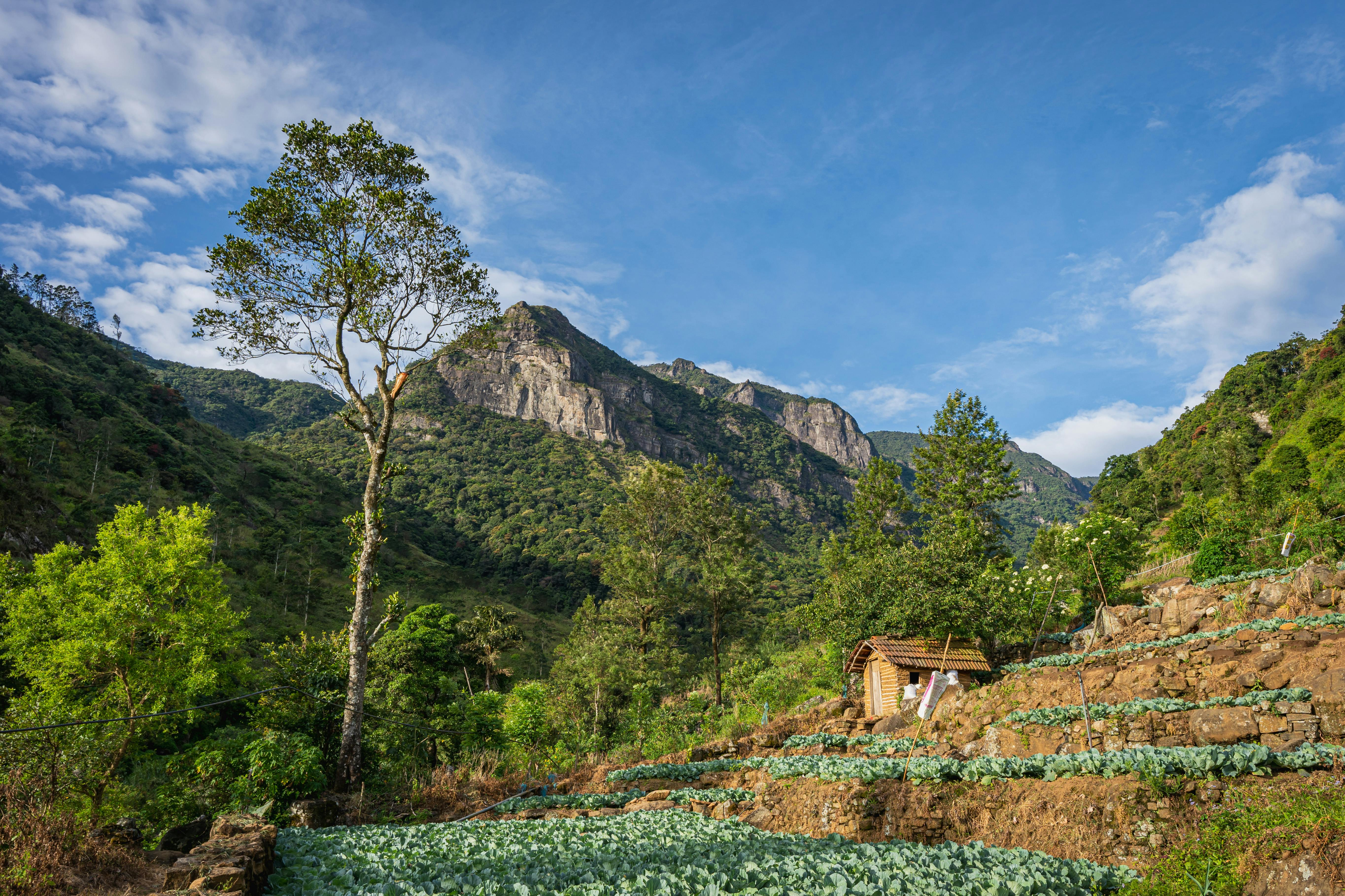 Mandurama, New South Wales