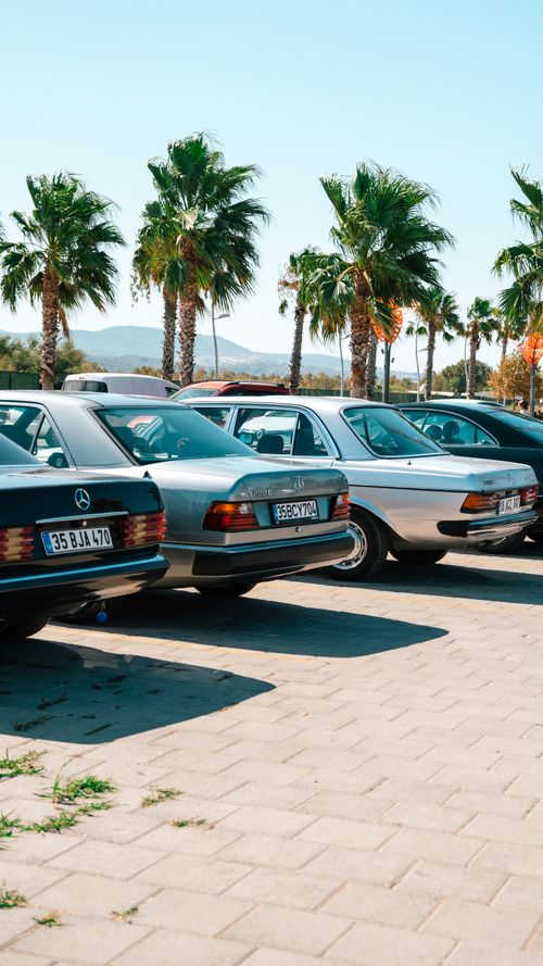 Free Vintage Mercedes Benz cars parked under palm trees in İzmir, Turkey on a sunny day. Stock Photo