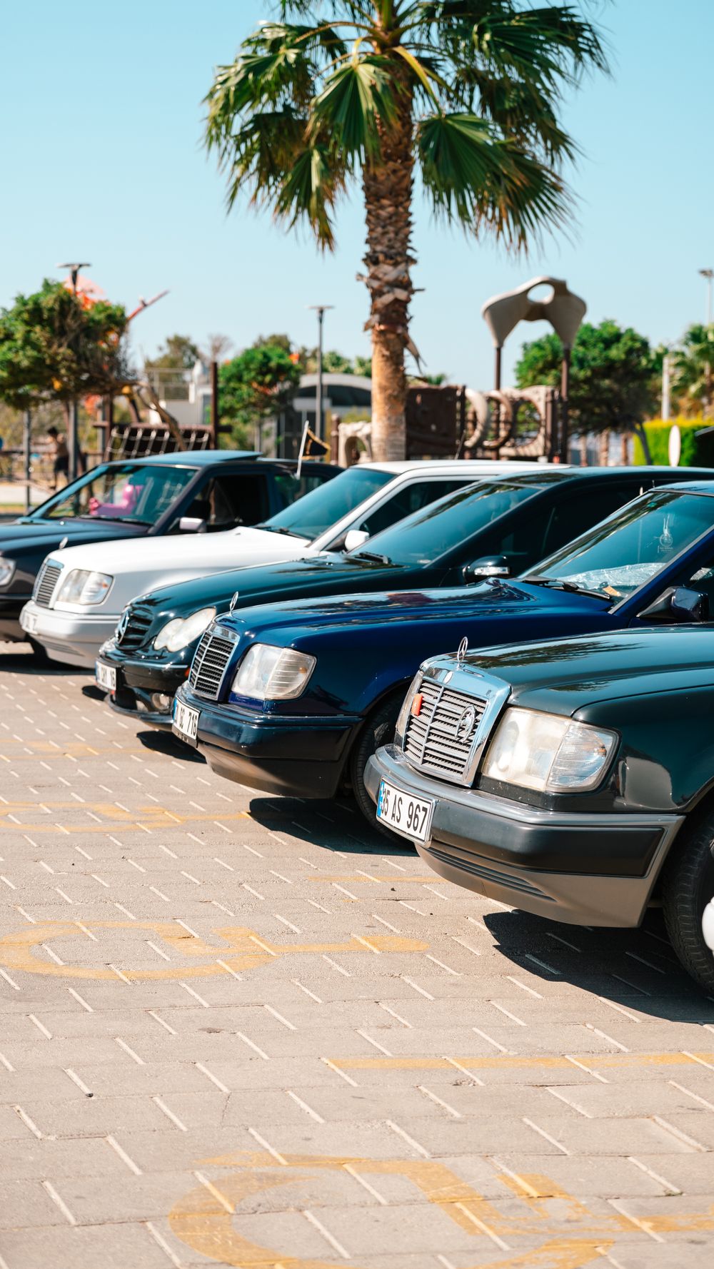 A row of classic Mercedes cars outdoors