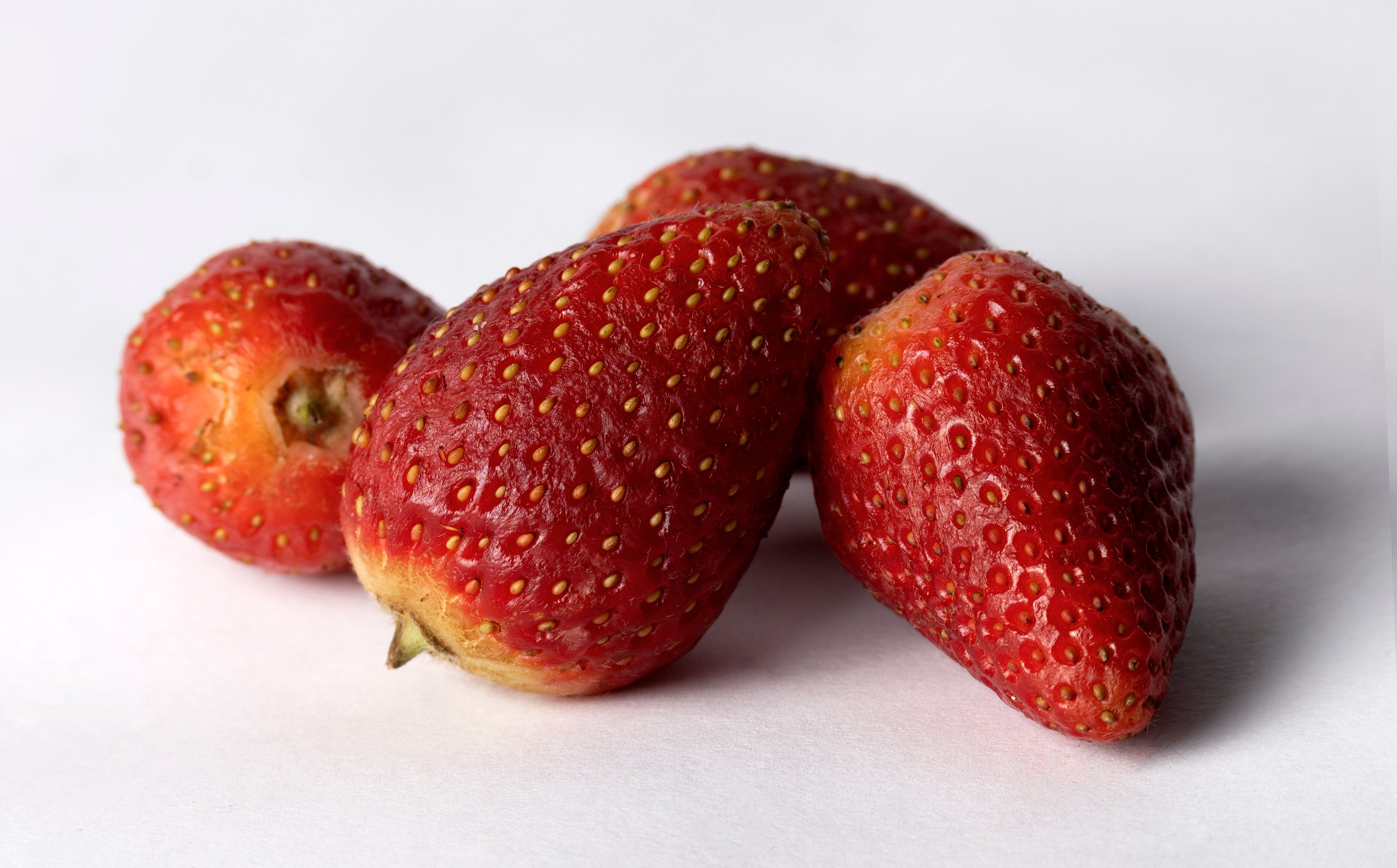 Freshly cleaned strawberries drying on paper towels in kitchen