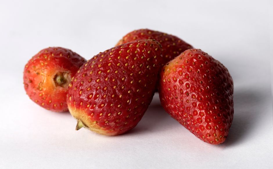 Close-up of vibrant red strawberries highlighting texture and color.