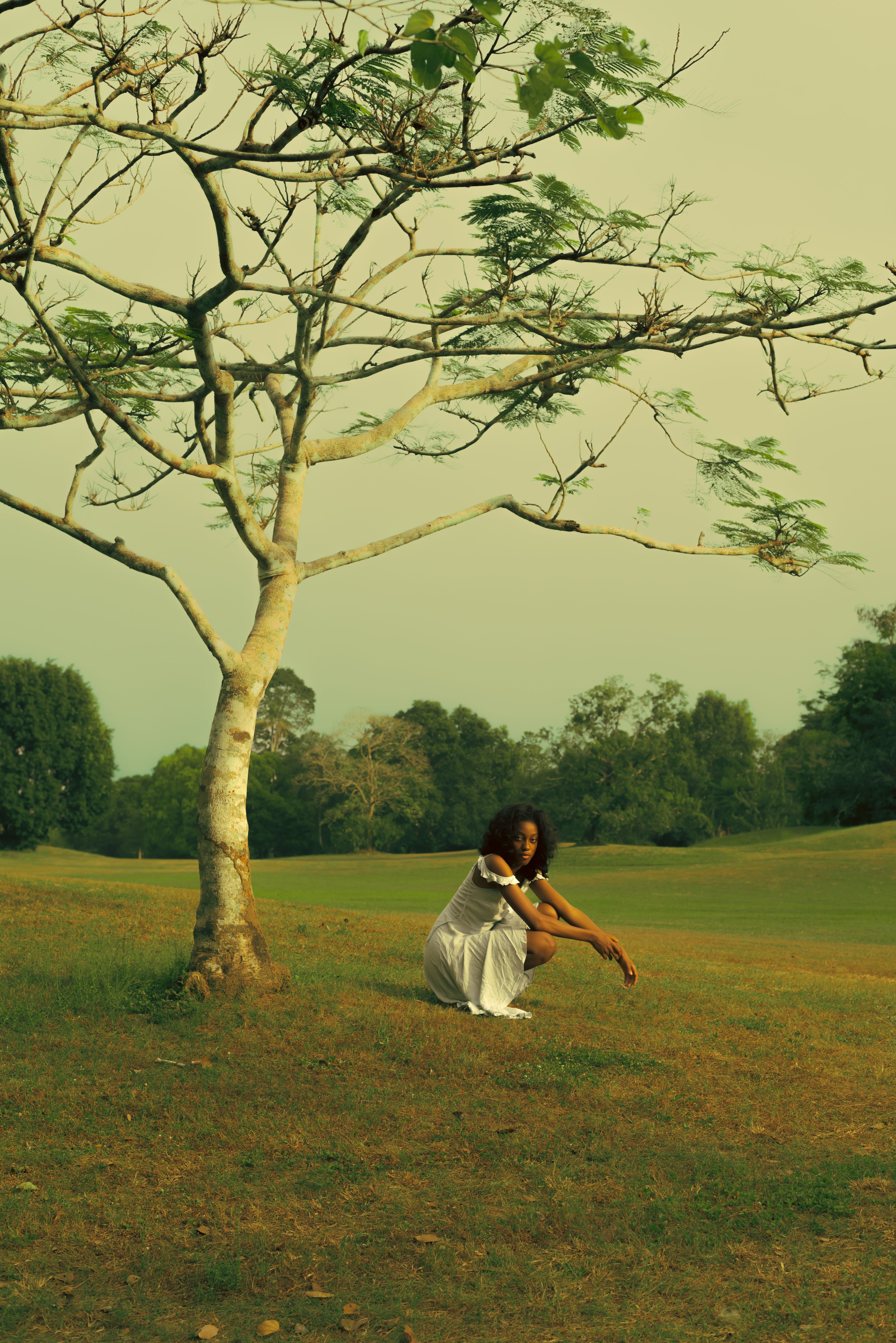 Woman in White Dress Sitting Under Bare Tree · Free Stock Photo