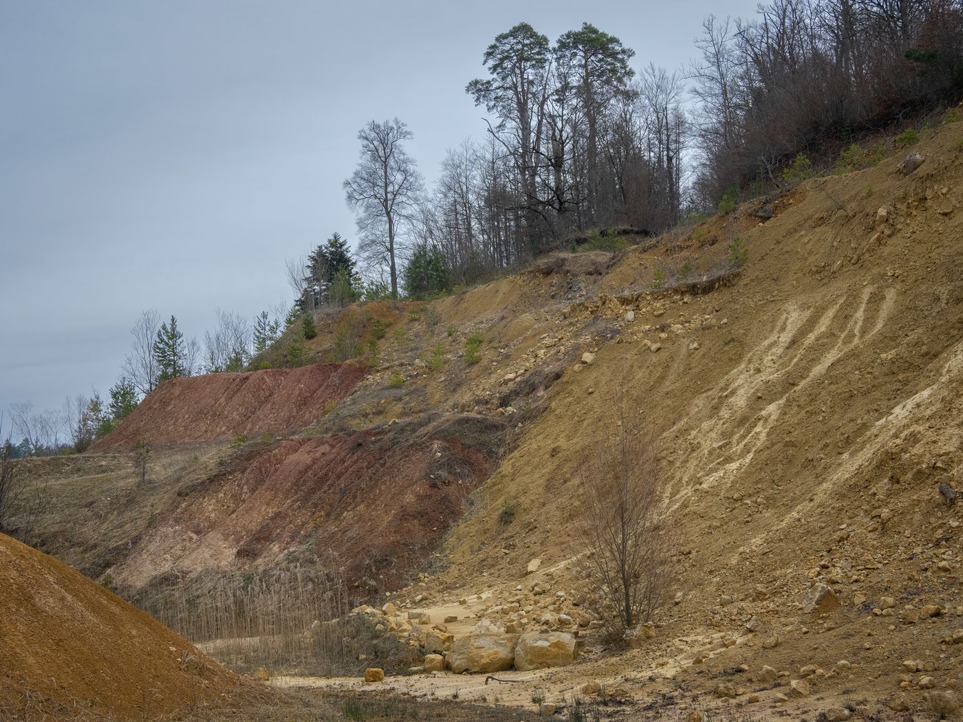 Erosion Control After Land Clearing: Protect Your Soil