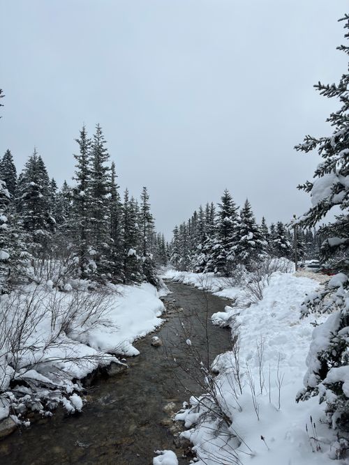 Free Winter in Canada  Stock Photo