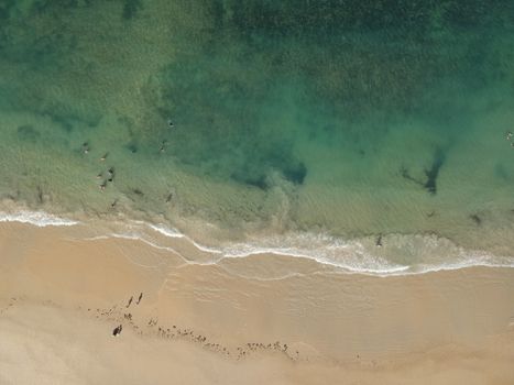 Stunning aerial view of a pristine beach in Rio Grande do Norte, Brazil.