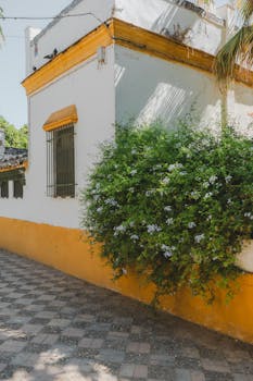 A picturesque corner in Sevilla showcasing traditional architecture and vivid foliage.