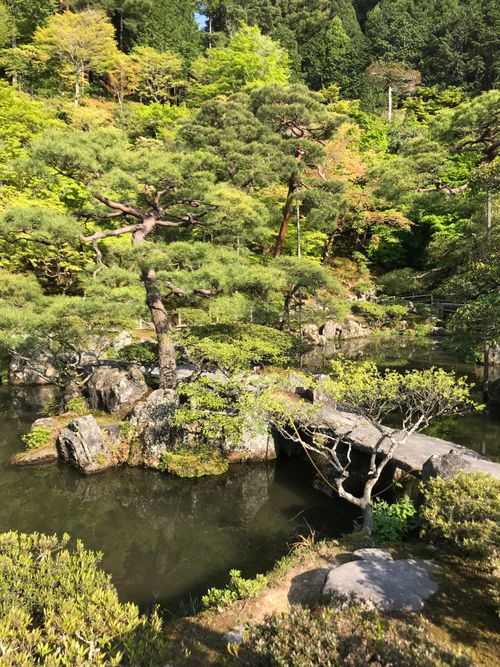Free Tranquil Japanese garden scene with trees and pond in Kyoto. Stock Photo