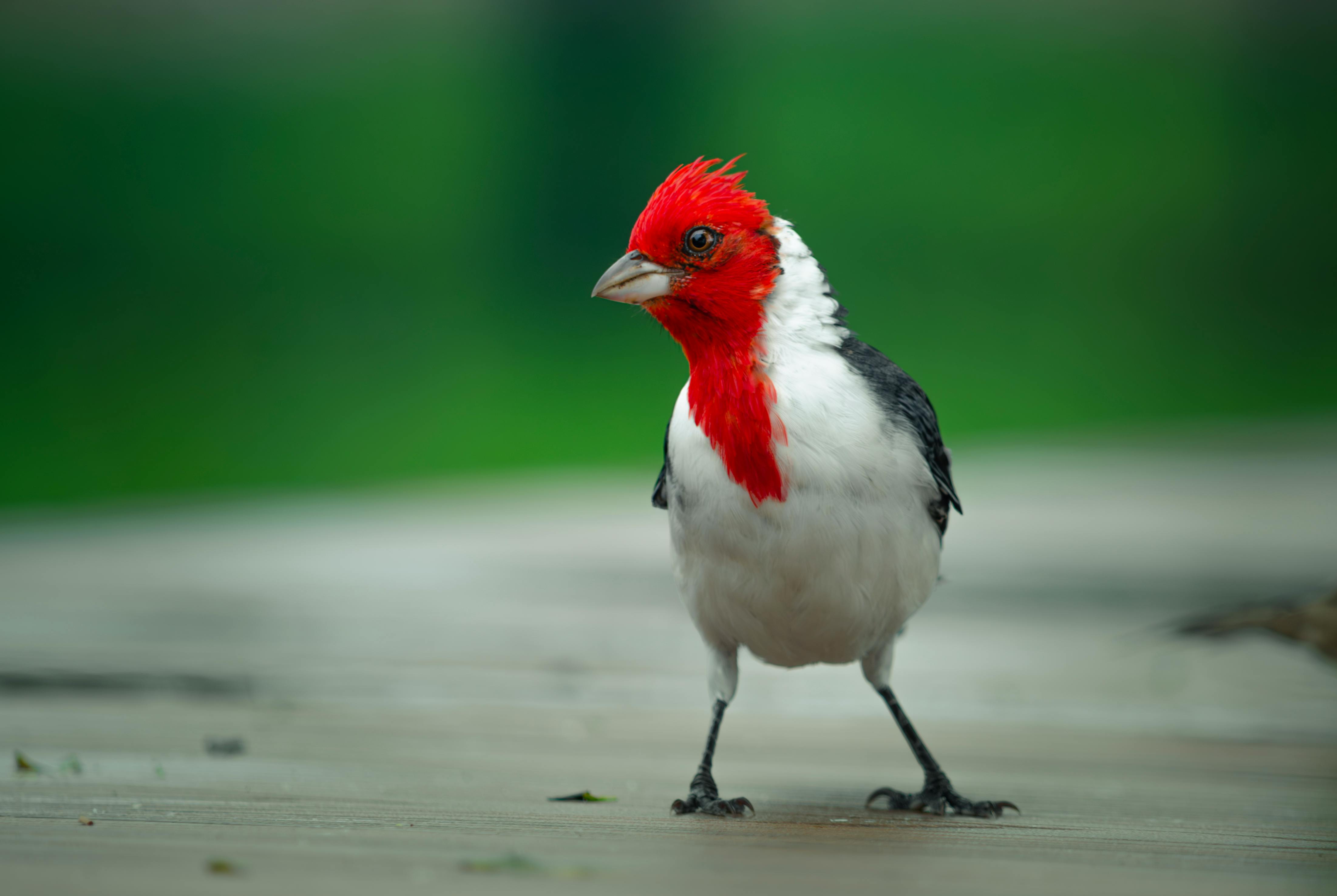 Vicente López, Argentina - travel photo