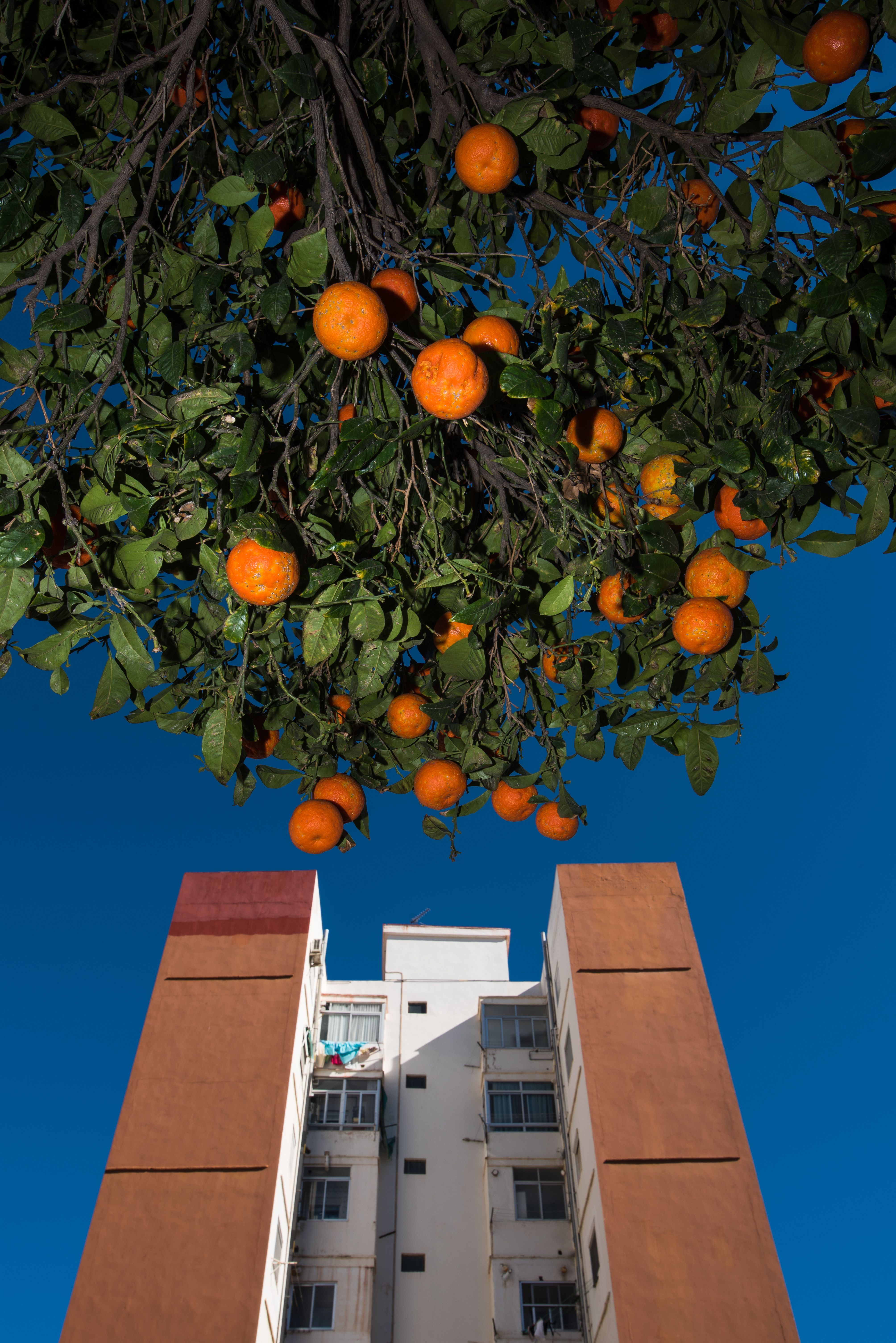 View of Green Apartment Building Photos, Download The BEST Free Green Apartment ...