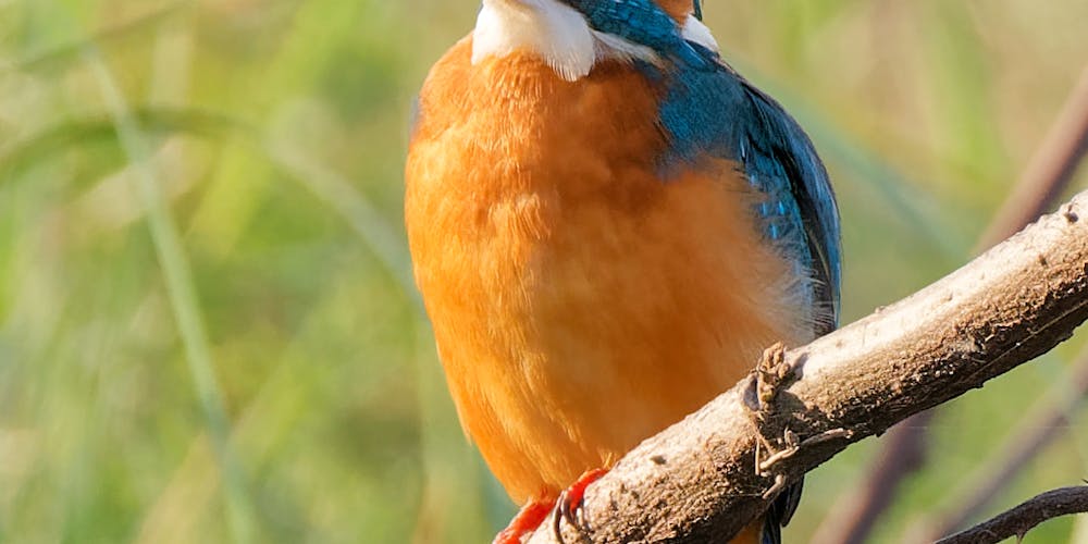 79KingLive - Khám Phá Thế Giới Giải Trí Trực Tuyến Đỉnh Cao