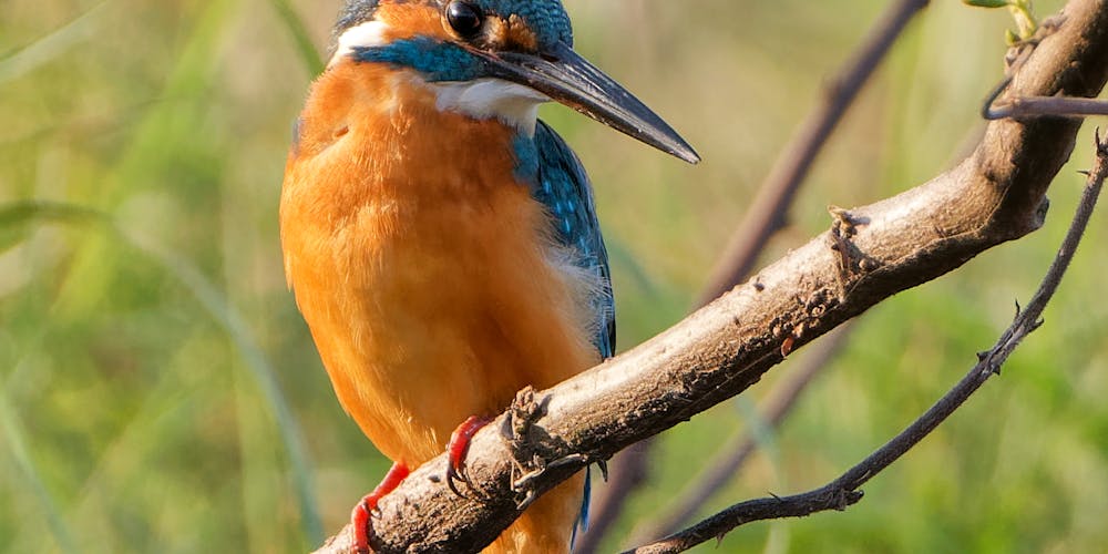 new88 - Khám Phá Thế Giới Giải Trí Trực Tuyến Đỉnh Cao