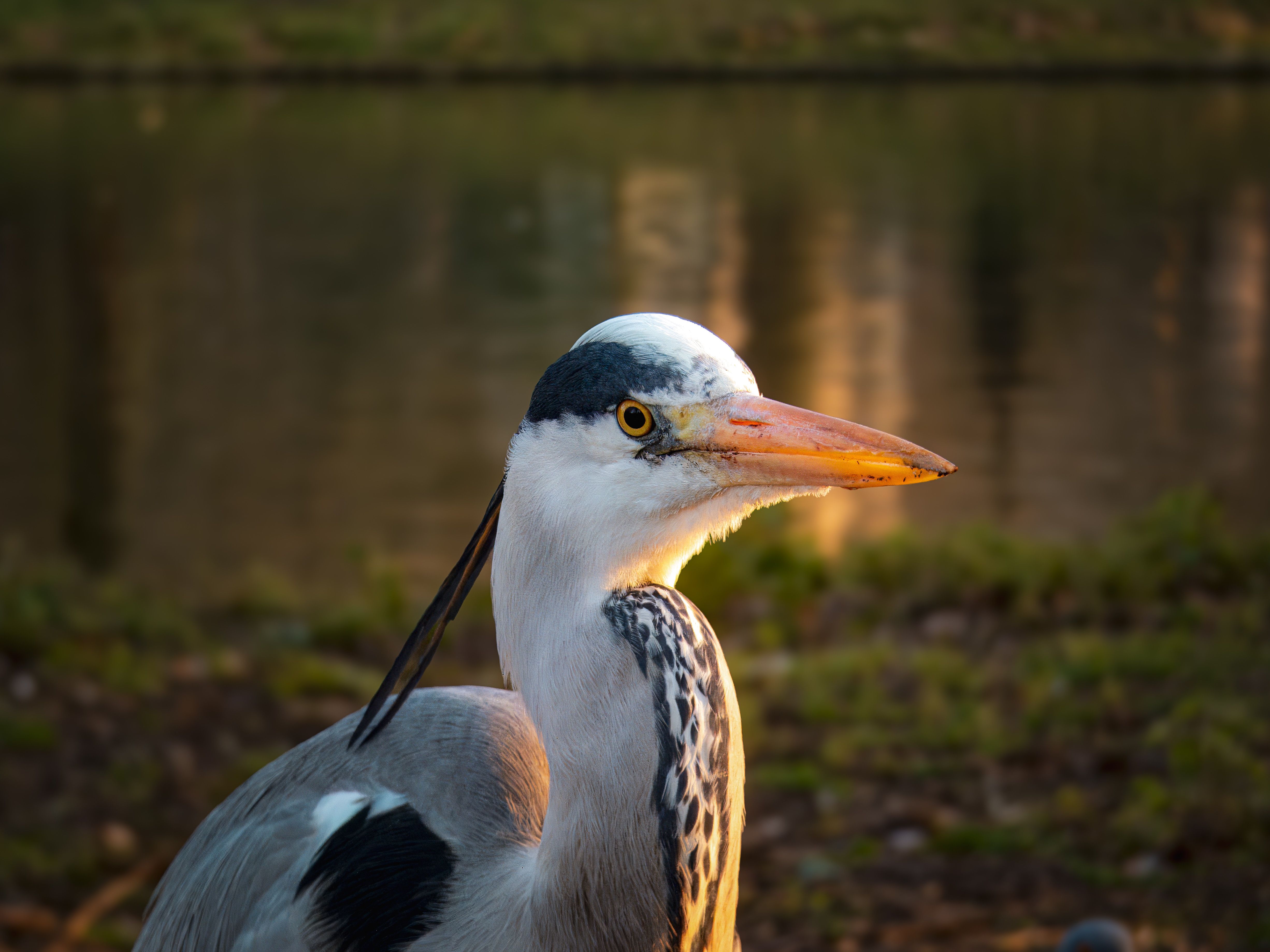 Loire Riverbank & Grèves de Chaumont — Wild Sandbank Walking