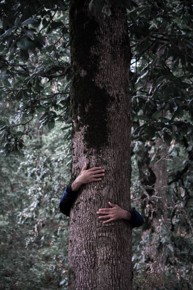 Tree Hug Photos, Download The BEST Free Tree Hug Stock Photos & HD Images