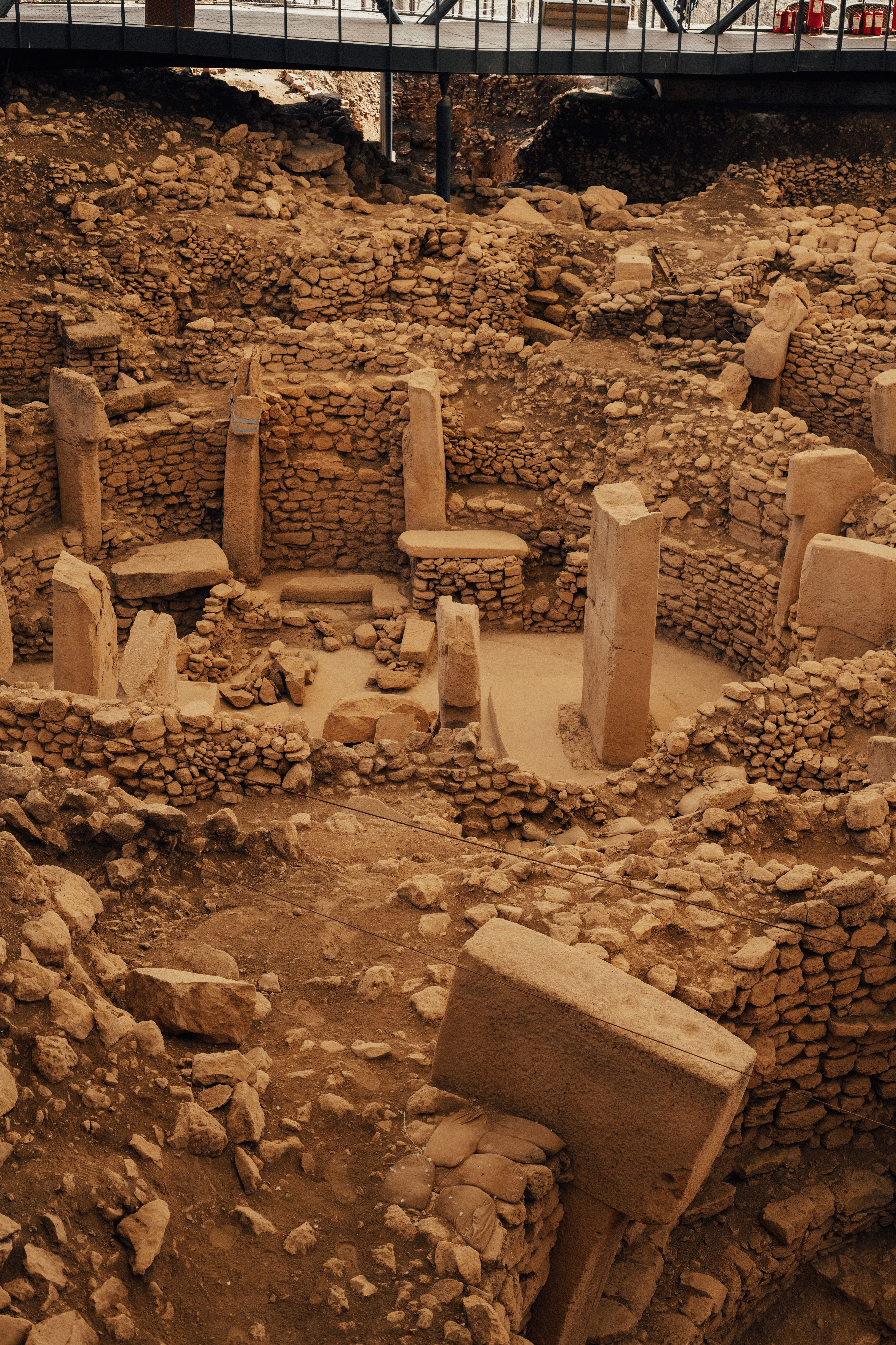 La influencia de la arqueología en la evolución biológica y cultural