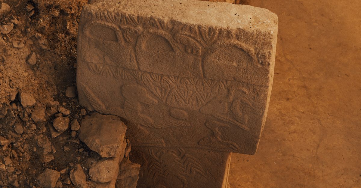 La influencia de la arqueología en la evolución biológica y cultural La influencia de la arqueología en la evolución biológica y cultural