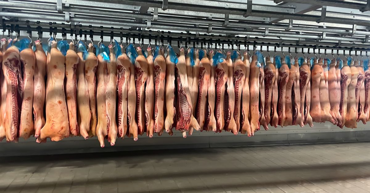 Imagem da notícia: Coreia do Sul Enviará Missão Sanitária ao Brasil para Liberar Mercado a Frigoríficos