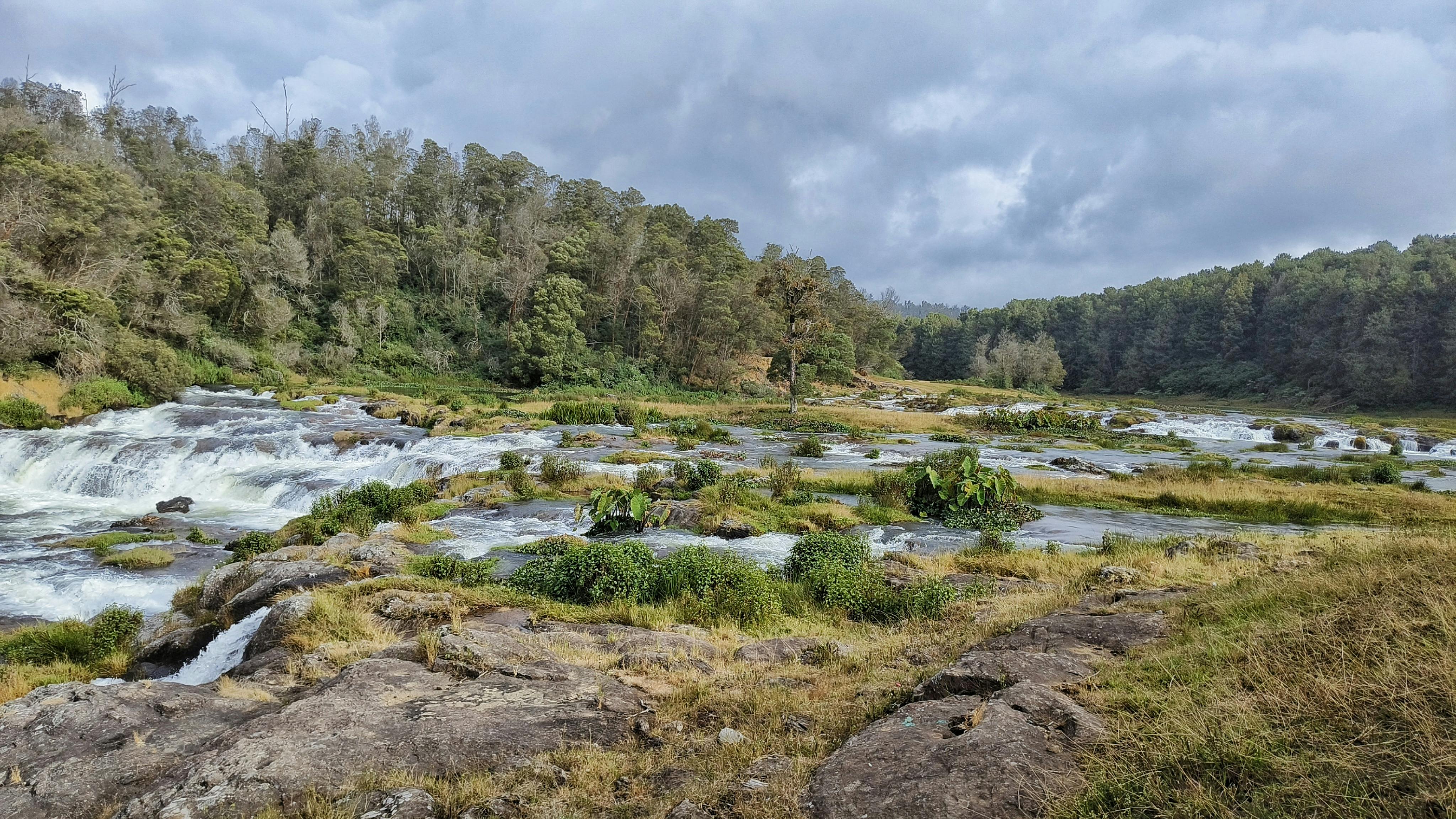 Ooty