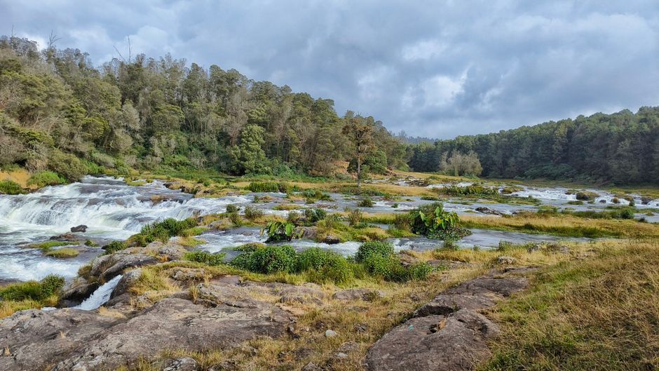 Ooty Tour Packages