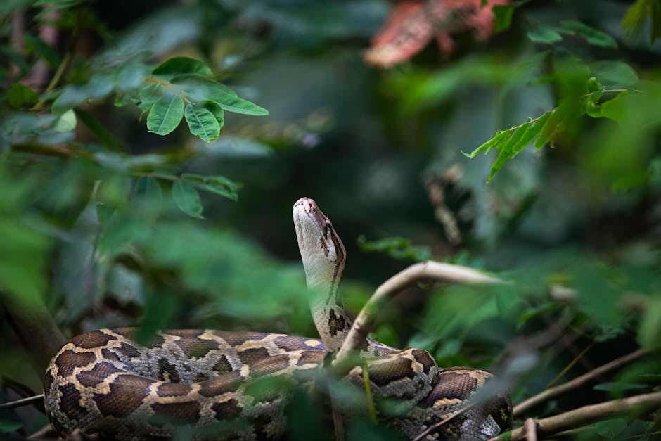Close-up of a python snake among vibrant green leaves in a jungle setting.