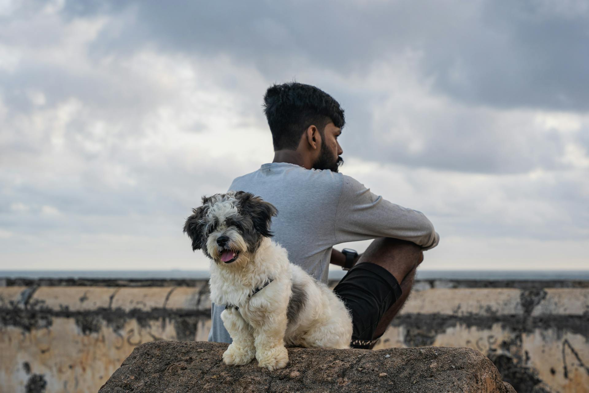 A serene moment at Galle Fort with a man and his dog enjoying the view.