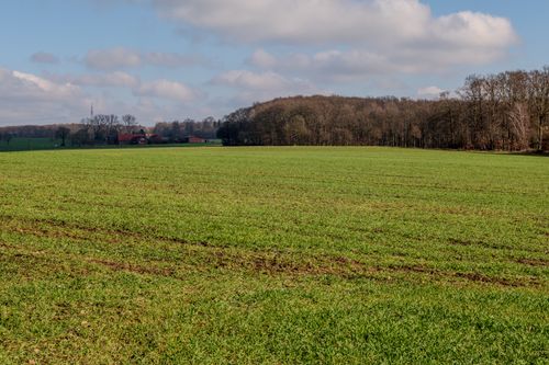 Free Expansive green field bordered by dense forest under a bright sky. Stock Photo