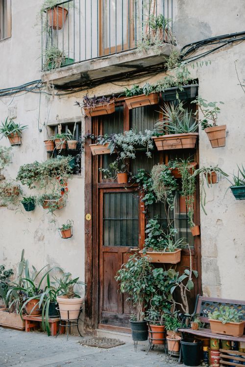 Free Rustic Barcelona door adorned with vibrant potted plants, showcasing urban greenery. Stock Photo