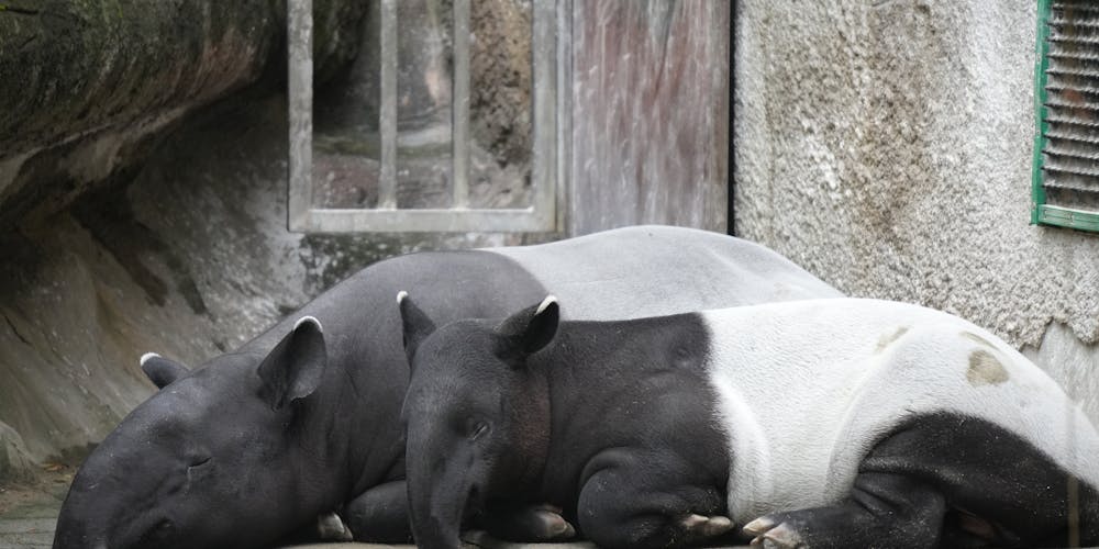 Khám Phá Thế Giới Đầy Kích Thích Của Gamebaidoithuong-viet.com