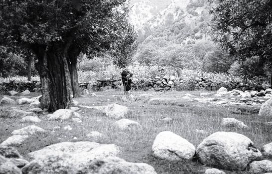 A serene view of trees and rocks in Chitrāl, Pakistan's mountainous terrain.