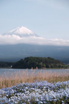 Scenic view of Mount Fuji with blue flowers in foreground during spring.
