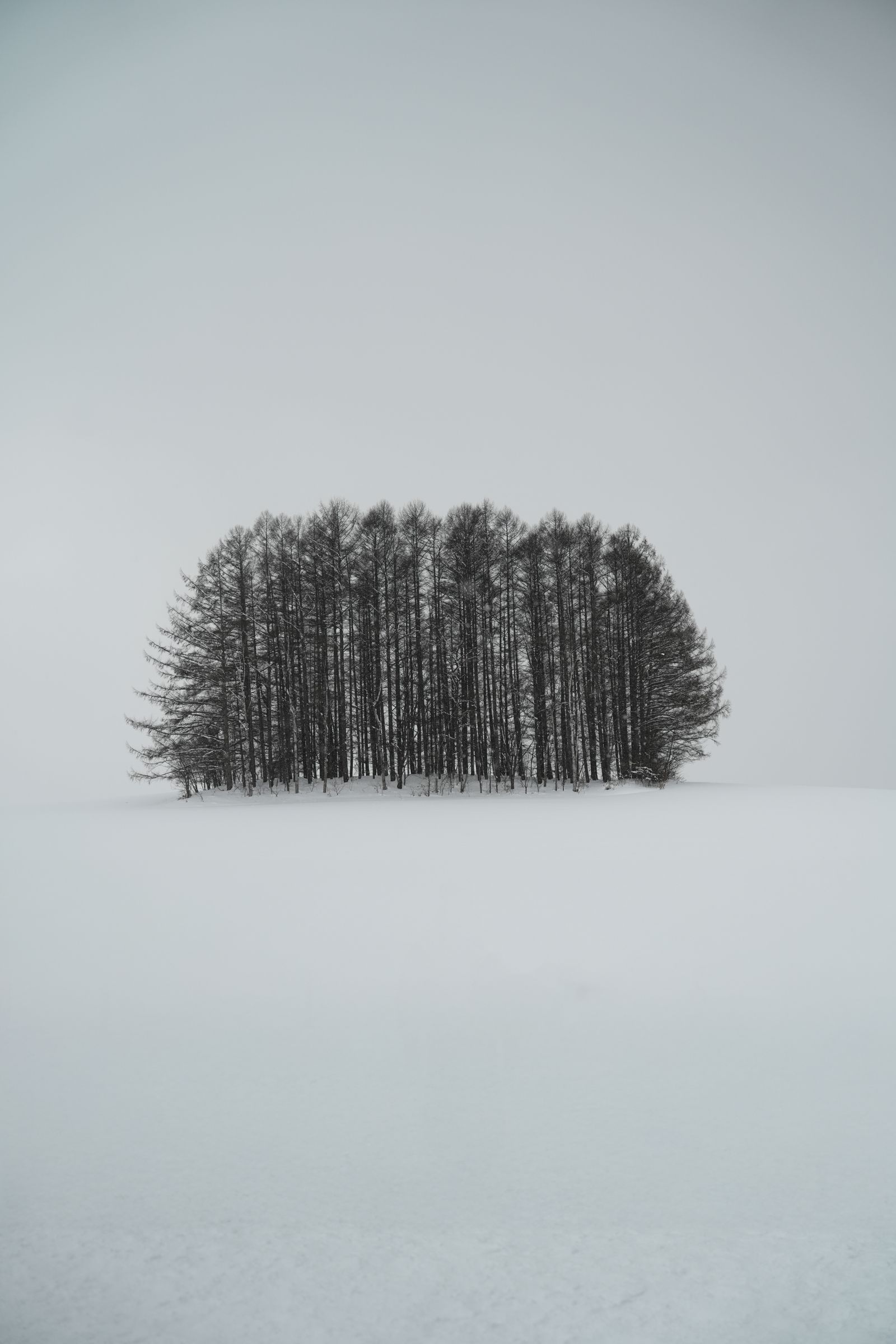 Snow-covered Japanese landscape
