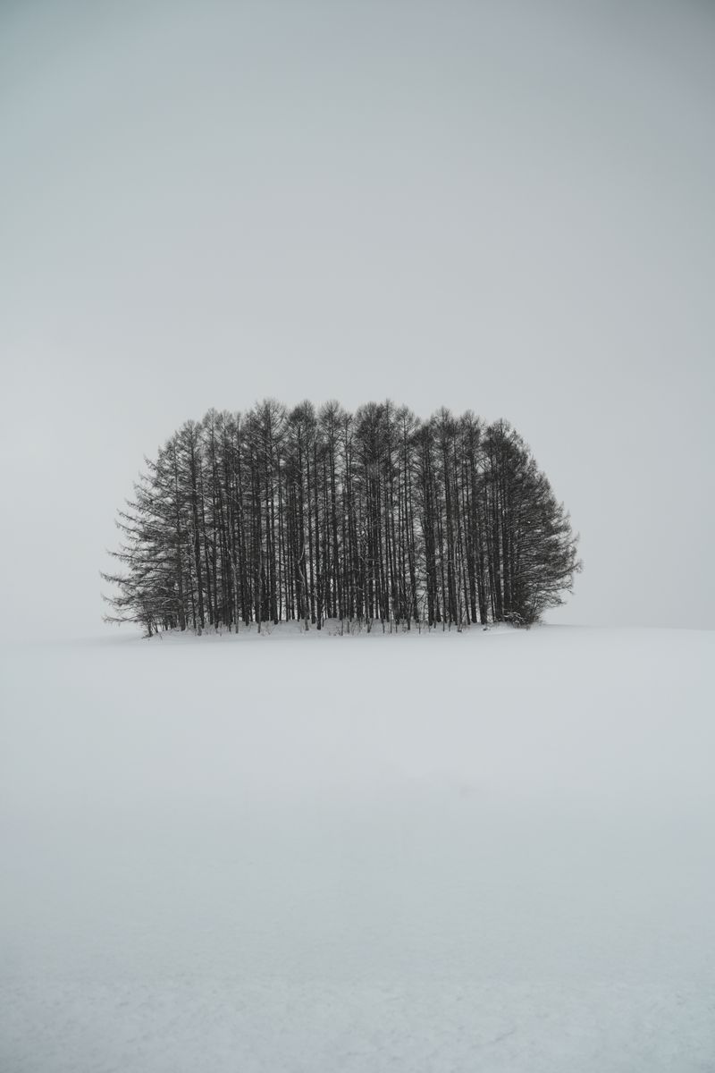 Hokkaido hotels
