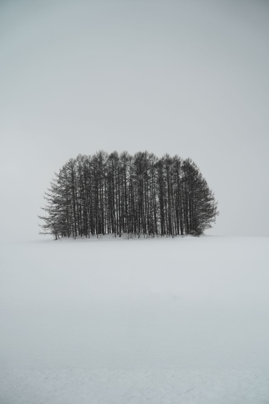 Snowy landscape in Hokkaido, Japan