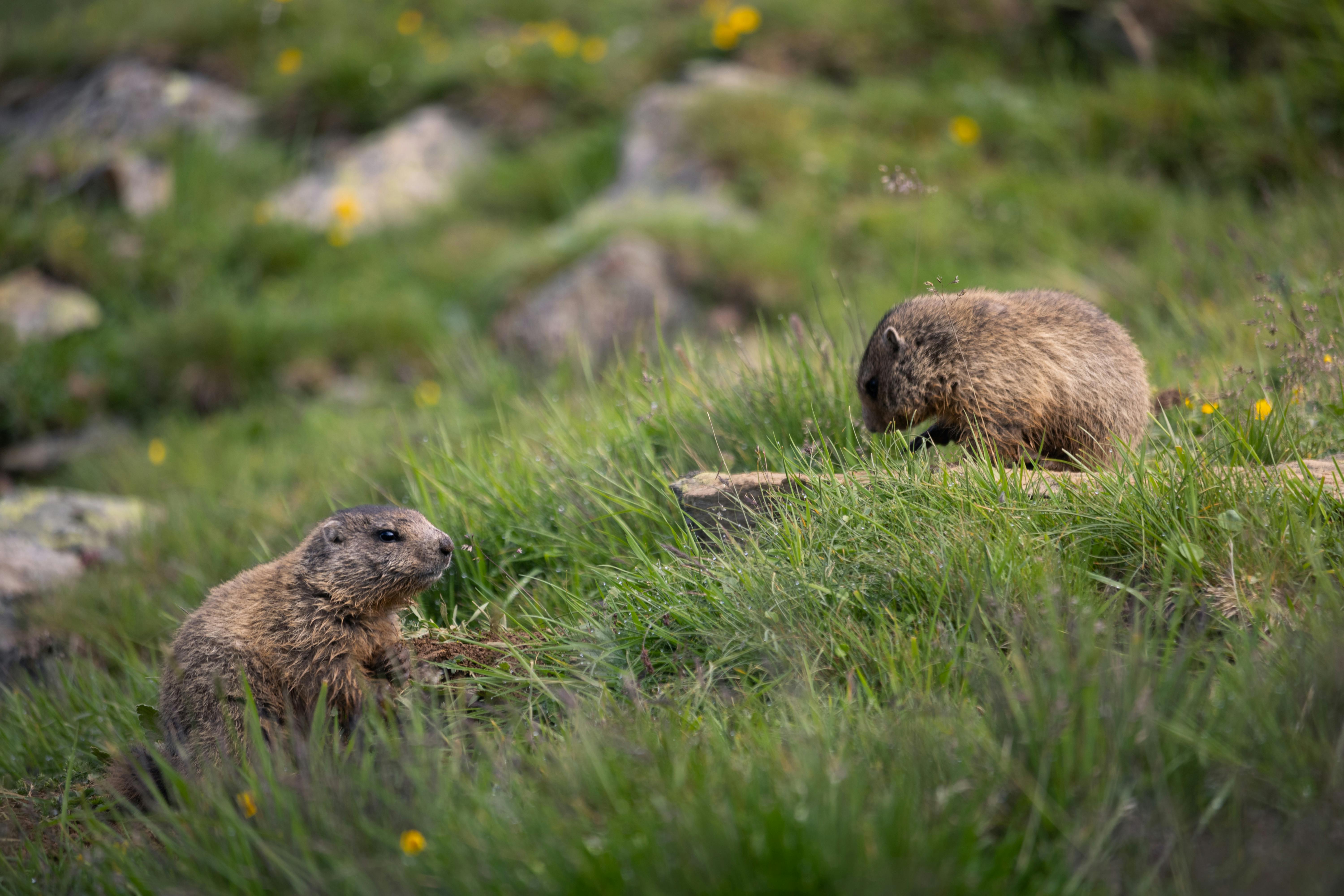 Landmarks in Obergurgl