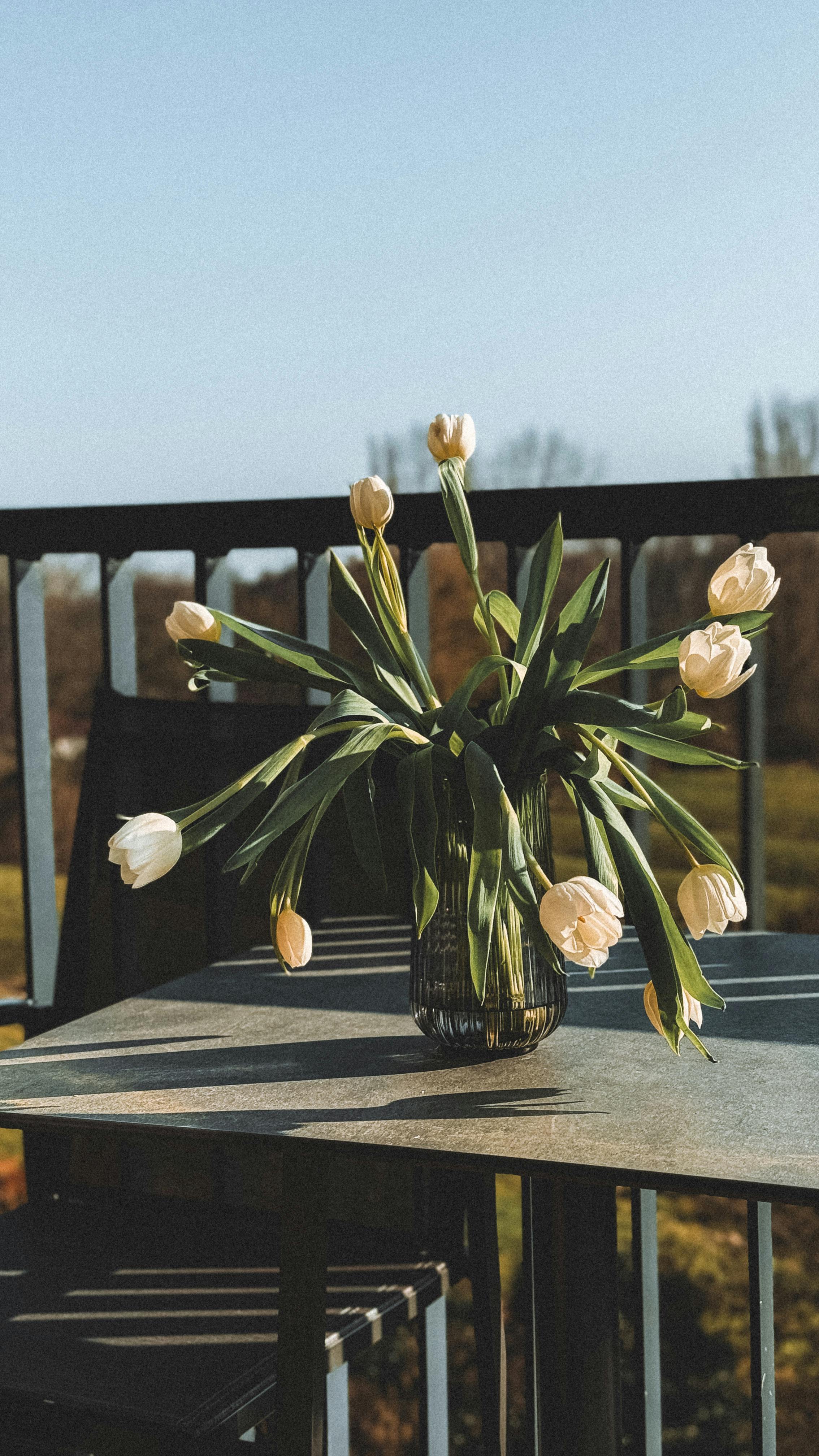 [ColoSach]-a-serene-arrangement-of-white-tulips-in-a-glass-vase-on-an-outdoor-table-in-a-garden-setting.